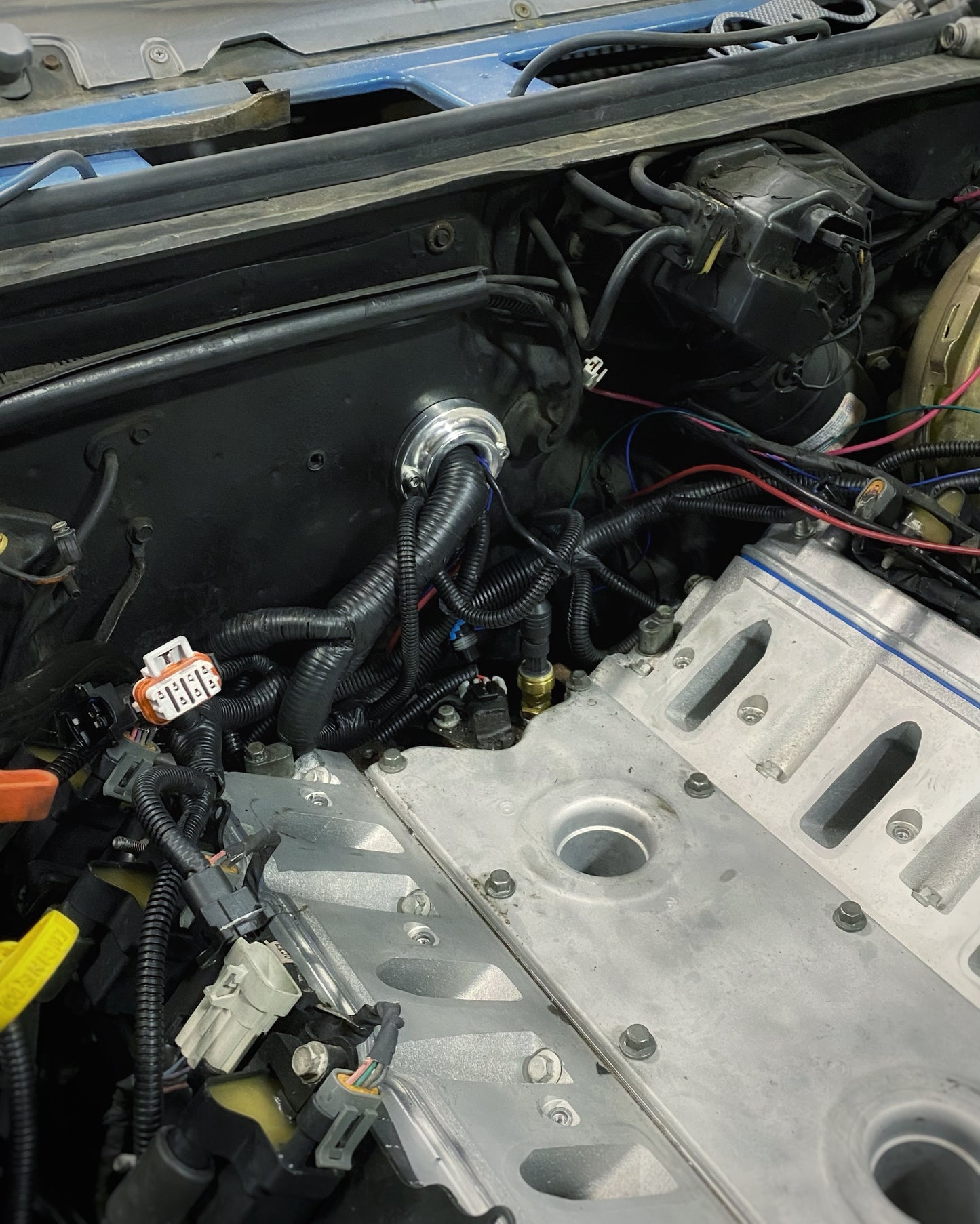 LS Swap Factory PCM Harness Bulkhead